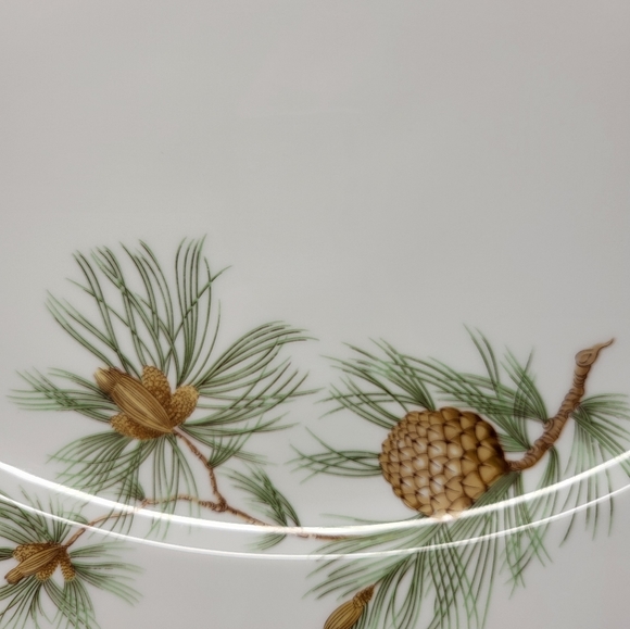 Rosenthal Germany Pine Needles Selb-Plossberg Aida Large Oval 15" Platter Dish - Picture 3 of 6